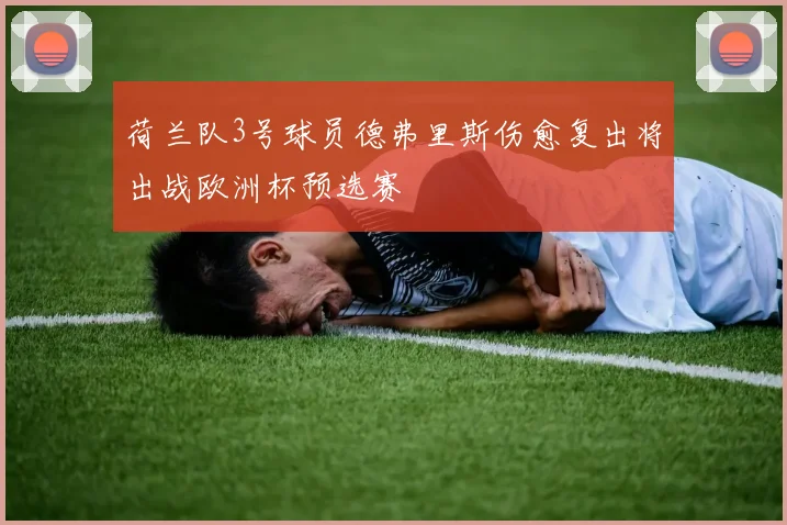 荷兰队3号球员德弗里斯伤愈复出将出战欧洲杯预选赛