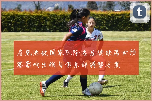 房胤池被国家队除名后续缺席世预赛影响出线与俱乐部调整方案